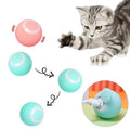Motion-Activated Rolling Ball Toy for Cats & Dogs – Happy Tails Co.