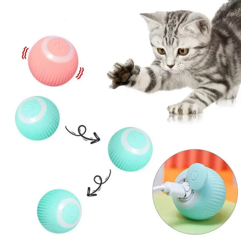 Motion-Activated Rolling Ball Toy for Cats & Dogs – Happy Tails Co.