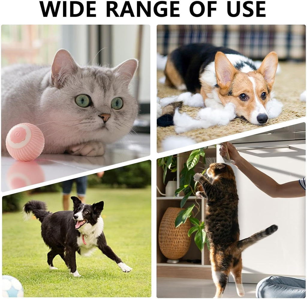 Motion-Activated Rolling Ball Toy for Cats & Dogs – view 3