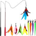 Retractable Feather Wand Cat Toy Set – 2 Wands + 9 Refills – Happy Tails Co.